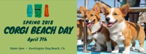 Spring 2018 So Cal Corgi Beach Day