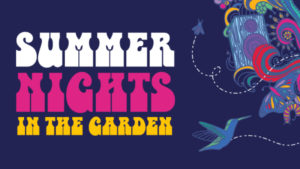 summer-nights-in-the-garden-nhm
