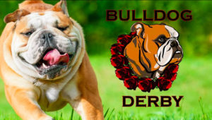 bulldog-derby-santa-anita-featured