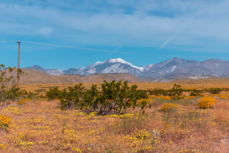 Exploring the Morongo Basin of San Bernardino County (Sand to Snow