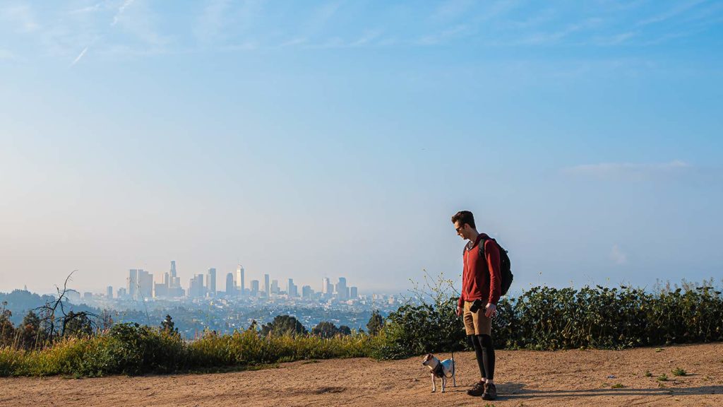 view from griffth park trails