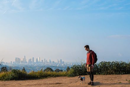 view from griffth park trails