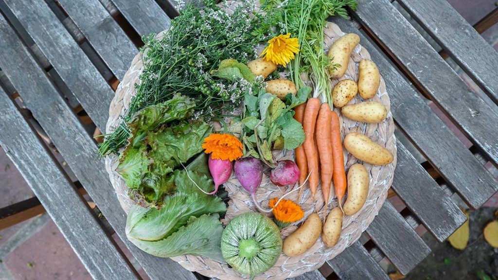 Items in the County Line Harvest csa box