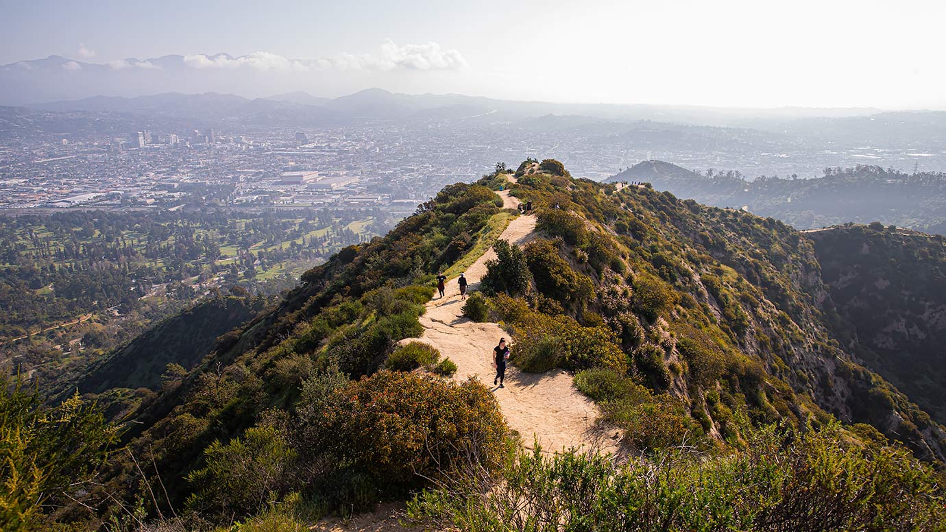 Griffith Park Trail Near Glendale Peak