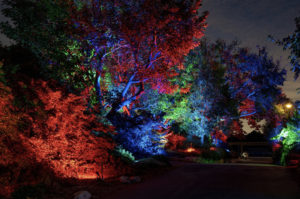 Glow at South Coast Botanical Garden