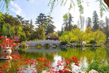 The Huntington's Chinese Garden