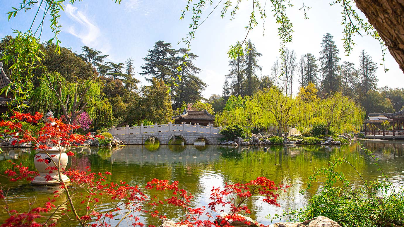 The Huntington's Chinese Garden