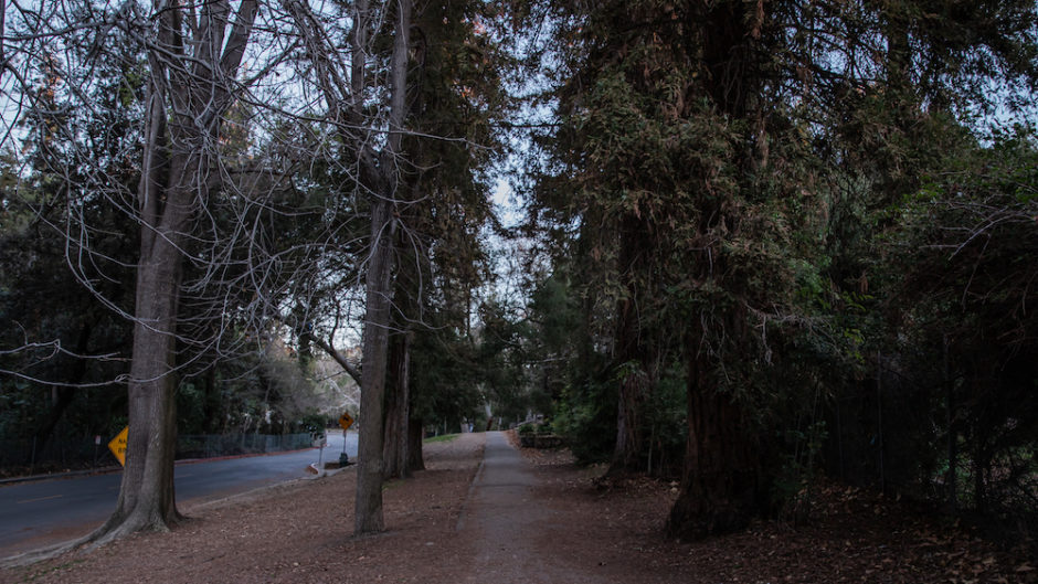 Walking Fern Dell to Griffith Observatory L.A. on Foot 3