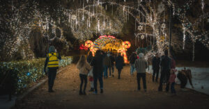 This image has an empty alt attribute; its file name is Holiday-Road-2022-Opening-Weekend-3.jpg