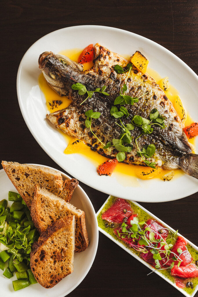 vignette-branzino